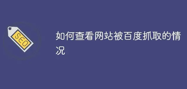 蜘蛛抓取頁(yè)面沒(méi)有記錄痕跡怎么回事？