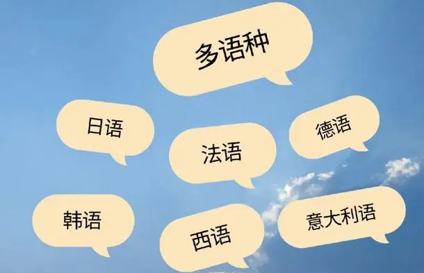 多語種企業(yè)網(wǎng)站建設(shè)困境剖析：從語言適配到用戶體驗的挑戰(zhàn)