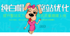純白帽整站優(yōu)化，提升整站實(shí)力，價(jià)格親民效果好